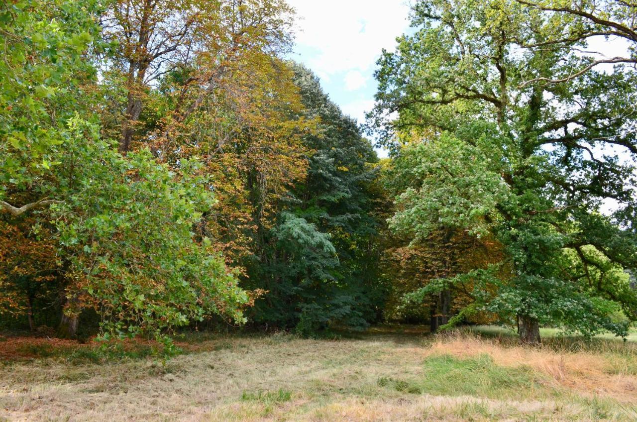 Chateau De Freschines Villefrancoeur Buitenkant foto